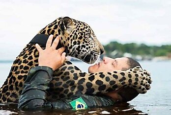 Солдаты бразильской армии со спасенным ими от наводнения ягуаром