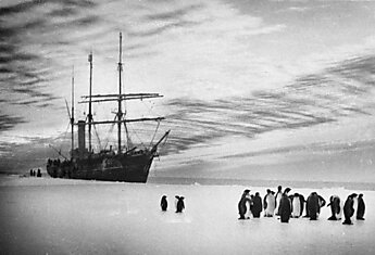 Антарктида прошлого в фотографиях австралийца Джеймса Хёрли (17 фото)