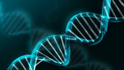 Вашингтон выступает против изменений генома человека в прикладных целях