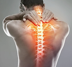 Лечение позвоночника в клинике Доктора Длина: купить здоровье вашей спины