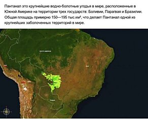 Пантанал — Самые Большие В Мире Болота, Которые Находятся В Южной Америке