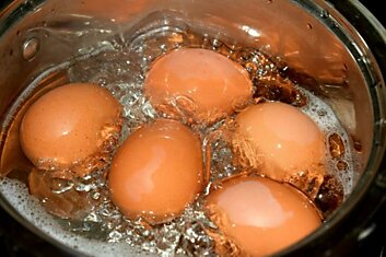 Молодые хозяйки грубо ошибаются во время варки яиц