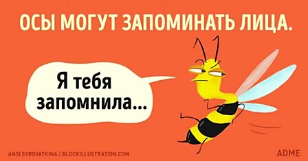 30 фактов о нашей жизни, о которых невозможно молчать