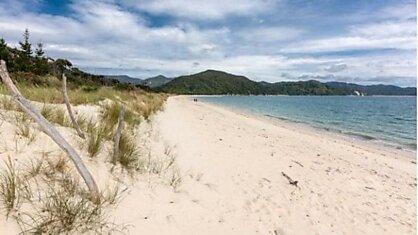 Краудфандинг позволил жителям Новой Зеландии выкупить пляж у бизнесмена, сделав его общественным