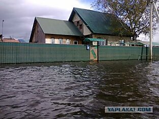 Амур - потоки вод и мыслей