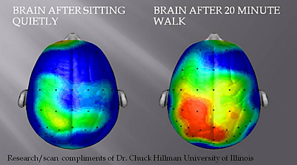 Как ходьба влияет на работу мозга?