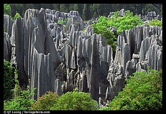 Китайский сад камней