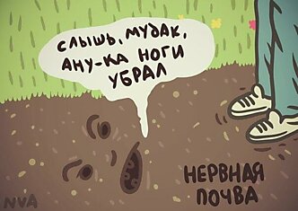 Милые буквализмы