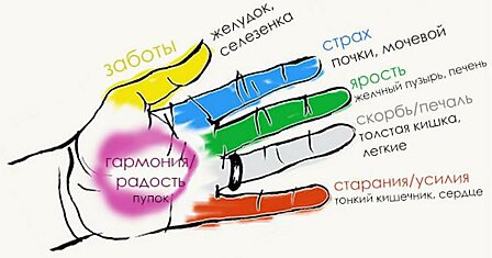 Секрет гармонии тела и души! Оказывается, человеческие органы неразрывно связаны с пальцами.