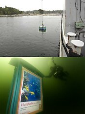 Реклама для настоящих дайверов на первом в мире подводном биллборде.