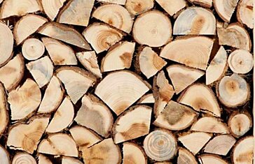 Как правильно хранить дрова на даче