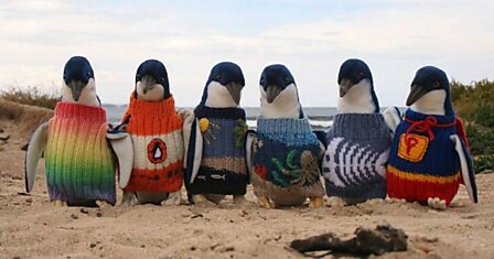 7 свитеров для айтишников