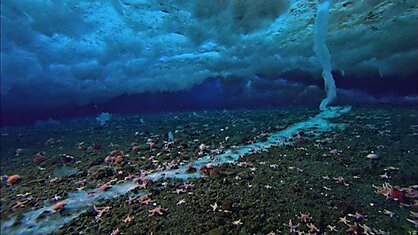 В арктических морях подо льдом есть огромные сосульки