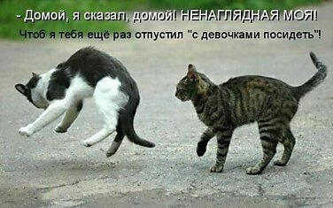 Домой я сказал...)))