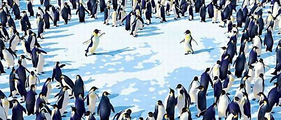 Позитивный Happy Feet