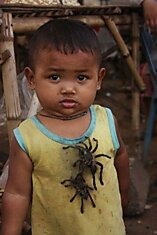 Поедание ядовитых тарантулов в Камбодже (22 фото)