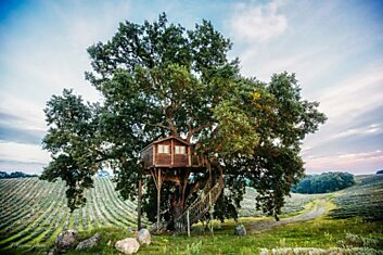 Домик на дереве Suite Blue— необычный отель в живописном уголке Италии