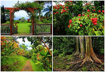 Сказочные сады  Мауи
