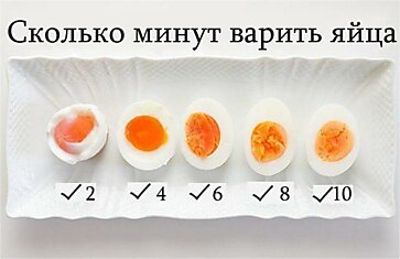 Сколько варить яйца? Наглядное пособие
