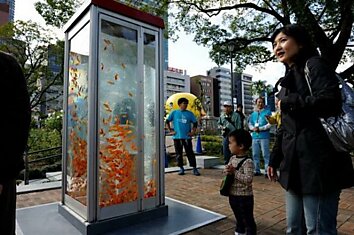 Золотые рыбки на улицах Токио