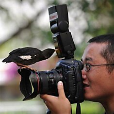 Птичка, которая «должна вылететь из фотоаппарата» во время съемки, действительно существовала