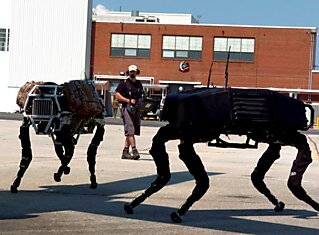 Big Dog, самый страшный робот в мире обзавелся недавно новой «рукой», способной швырять строительные блоки.