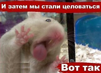 А затем мы стали целоваться вот так!