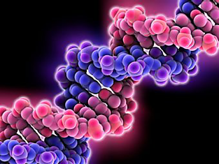 Модификация человеческих генов — это почти реальность