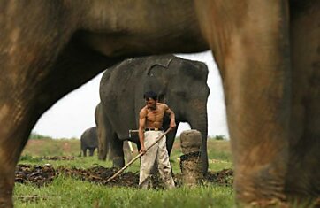 Indonesia - страна контрастов (32 фотографии)