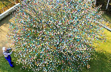 10 тысяч настоящих пасхальных яиц на одной яблоне Салфилд, Германия
