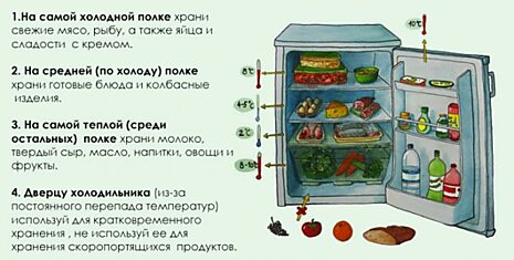 Как правильно хранить продукты, чтобы сохранить свежесть. Эта инфографика поможет каждой хозяйке!