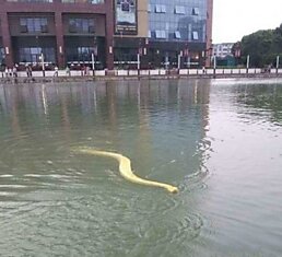 А теперь приступим к водным процедурам