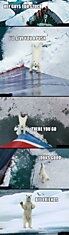 Good Guy Polar Bear