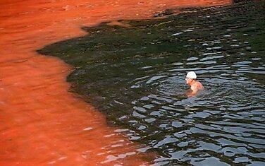 Красные водоросли на берегах Австралии
