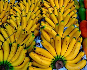 О вреде бананов