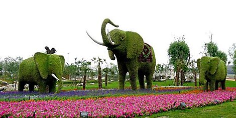 Животные из цветов в Китае