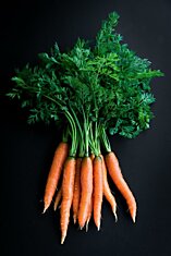 Целебные свойства моркови: примениение при варикозной болезни и не только