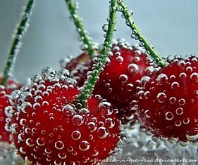 Как фотографировать фрукты с пузырями