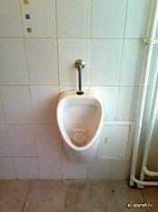 Косметический ремонт для Медведева в туалете «Останкино»