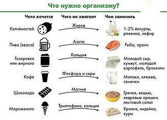 Что нужно организму, когда чего-то хочется?