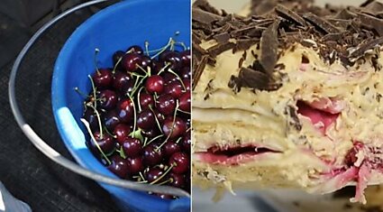 Рецепт торта с вишнями без выпечки «Фальшивая монастырская изба»