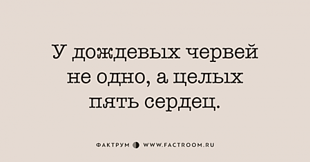 Десятка невероятных фактов, вызывающих любопытство