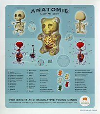 "Анатомия" для детей