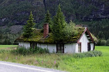 Крыши в Норвегии (12 фотографий)