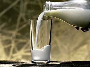 Результаты всероссийской проверки молока шокировали население страны