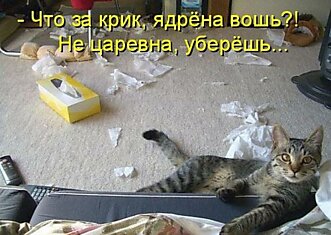 Веселенькие котоматрицы