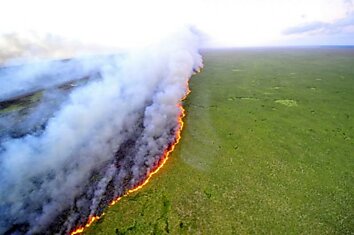 Лесной пожар на юге Бразилии