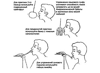 Какими бывают инструкции