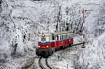 Зимний лес в сказочном убранстве