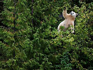 National Geographic Russia в мае